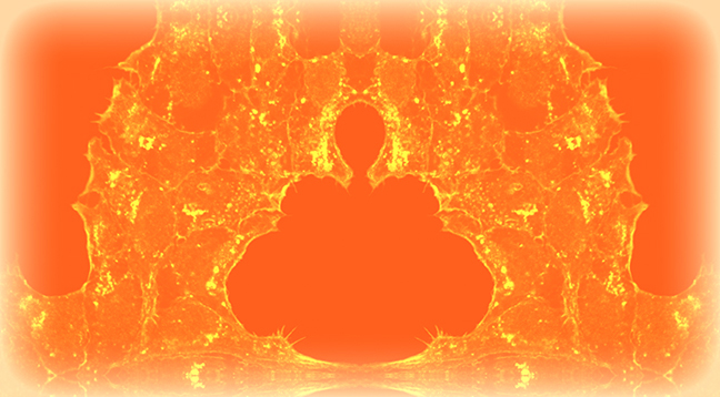 saffron color surrounding black buddah shape