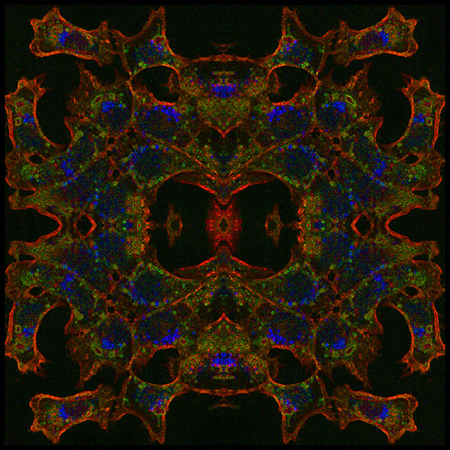  cells mandala,red, green and blue with Mayan Mask shapes