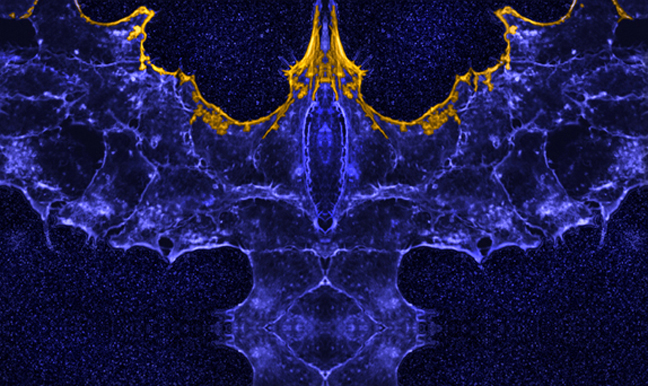  big blue bird wings spread in dark sky