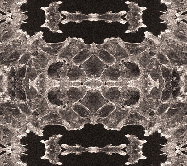 rose window center in sepia tones